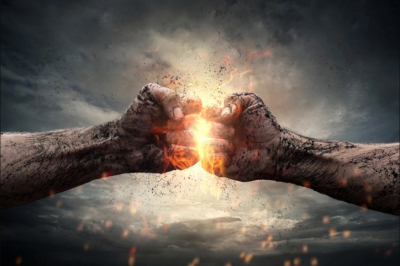 Массовое отравление собак в Путилково: трагедия, которую невозможно игнорировать