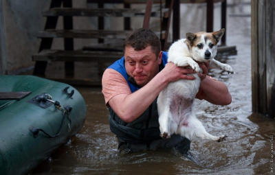 Пожар в посёлке Октябрьский: Голуби на кислороде невыносимая реальность!